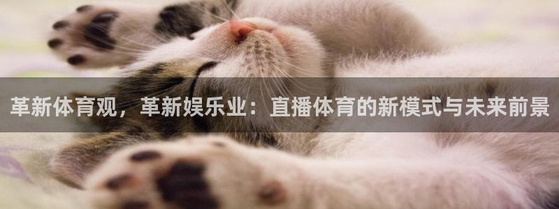 24直播网篮球免费直播回放：革新体育观，革新娱乐业：直播体育的新模式与未来前景