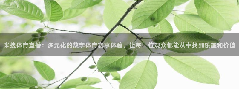 24直播体育免费观看入口：米搜体育直播：多元化的数字体育赛事体验，让每一位观众都能从中找到乐趣和价值