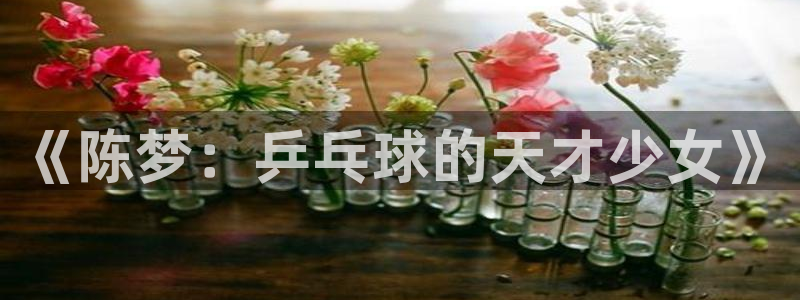 24直播网址：《陈梦：乒乓球的天才少女》