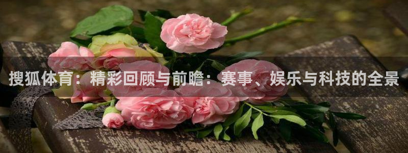 24直播免费足球直播视频：搜狐体育：精彩回顾与前瞻：赛事、娱乐与科技的全景