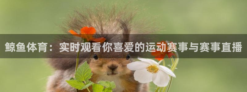 24直播网体育下载：鲸鱼体育：实时观看你喜爱的运动赛事与赛事直播
