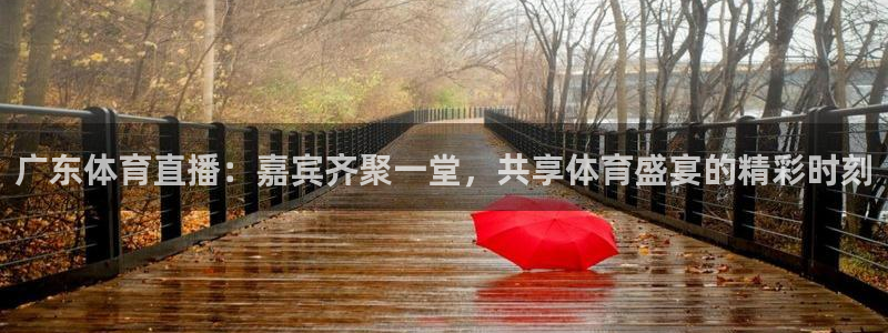24直播视频：广东体育直播：嘉宾齐聚一堂，共享体育盛宴的精彩时刻