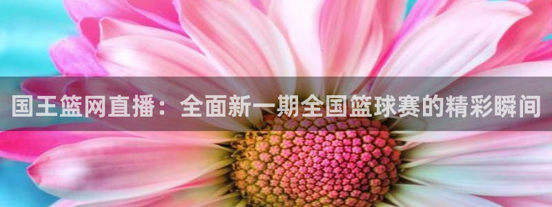 24直播nba直播：国王篮网直播：全面新一期全国篮球赛的精彩瞬间