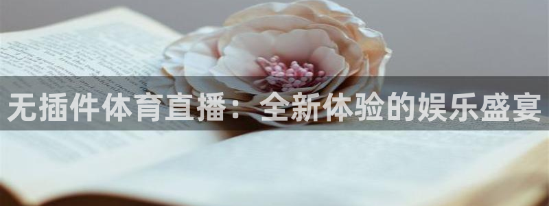 nba直播免费24直播网：无插件体育直播：全新体验的娱乐盛宴