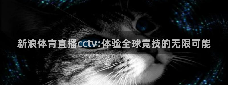 24直播：新浪体育直播cctv:体验全球竞技的无限可能