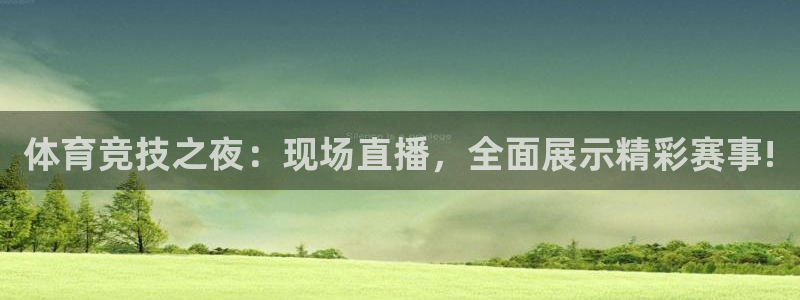 nba直播24直播网：体育竞技之夜：现场直播，全面展示精彩赛事!