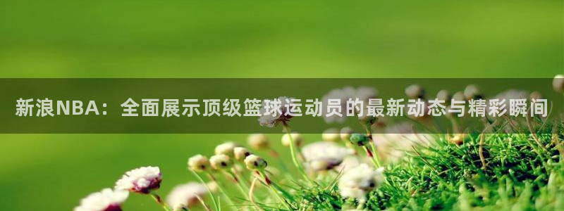 24直播网官网：新浪NBA：全面展示顶级篮球运动员的最新动态与精彩瞬间