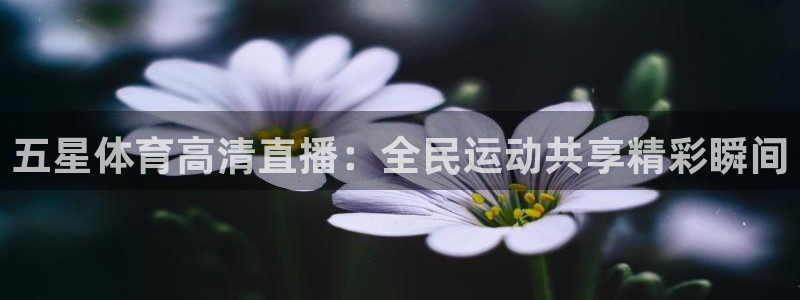 24直播网nba直播：五星体育高清直播：全民运动共享精彩瞬间